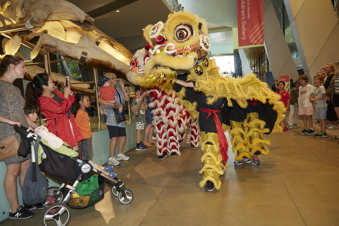 Chinese Lion Dance, Melbourne Museum, 2017