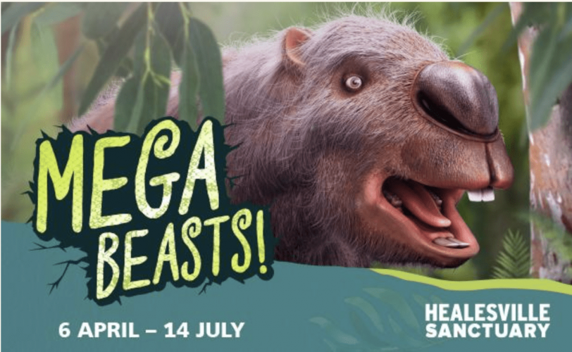 Mega Beasts at Healesville Sanctuary