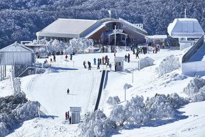 Best family trips to the snow in Victoria