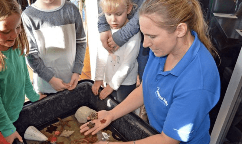 Kid activities at the Island Whale Festival