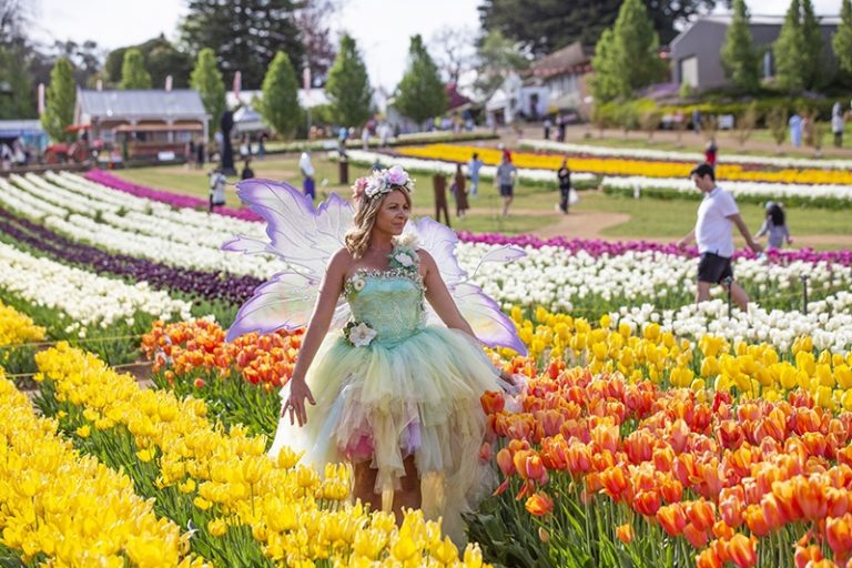 Tesselaar Tulip Festival Melbourne 2022