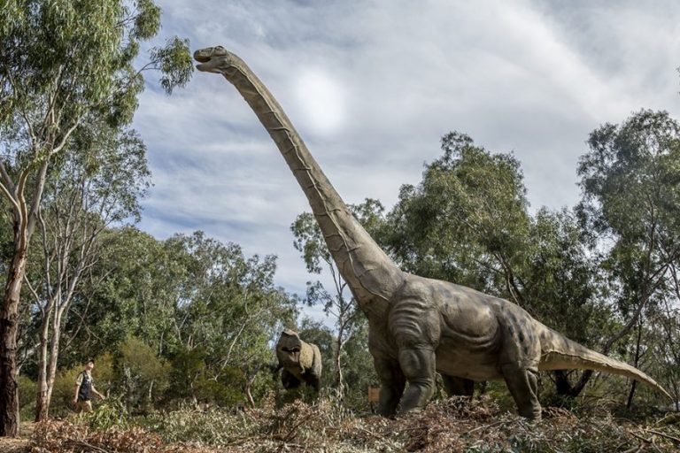 Dinosaurs at the Zoo