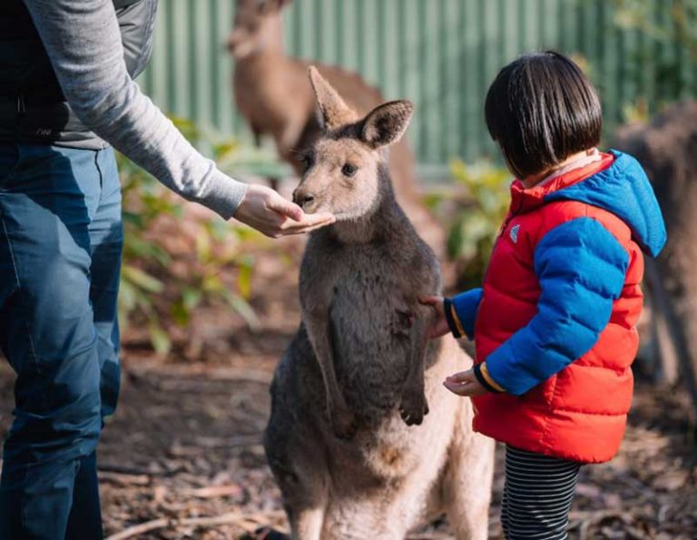 13 places kids can see animals in Melbourne