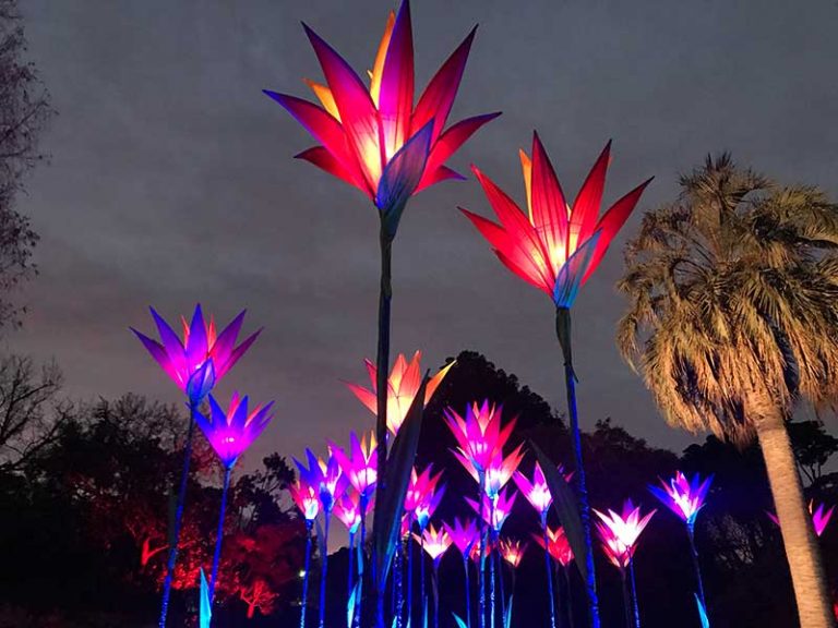 Lightscape has arrived at Melbourne's Royal Botanic Gardens