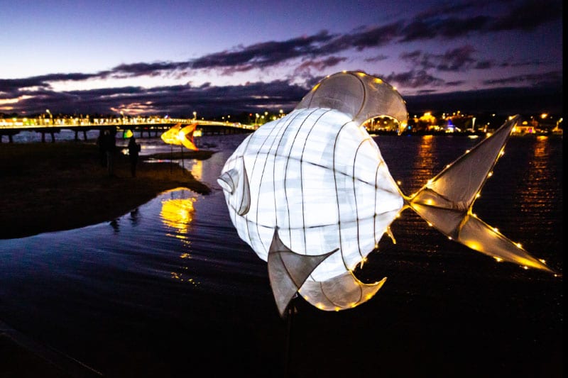 Where to see Winter Lights in Melbourne and regional Victoria