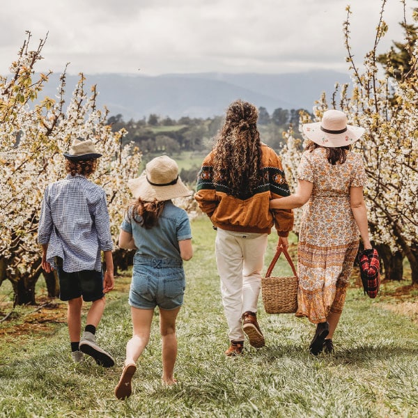 CherryHill Orchards Blossom Festival is back in Yarra Valley in 2023