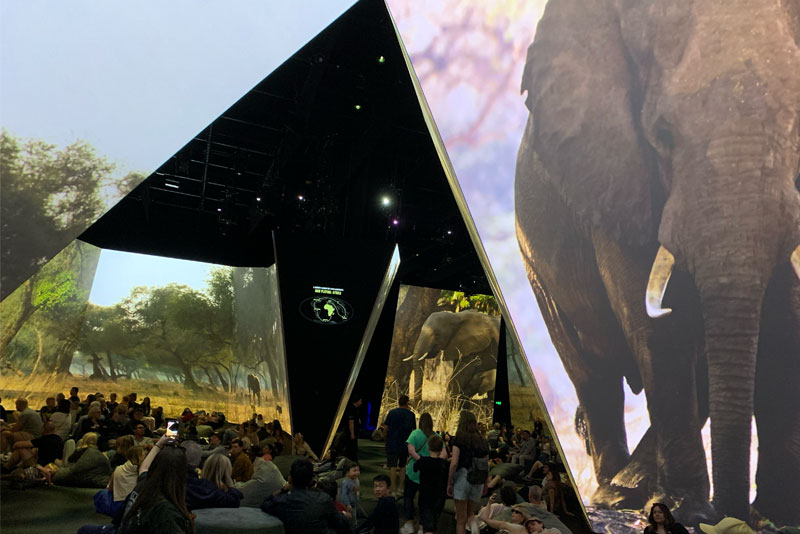 BBC Earth Experience – Melbourne Review