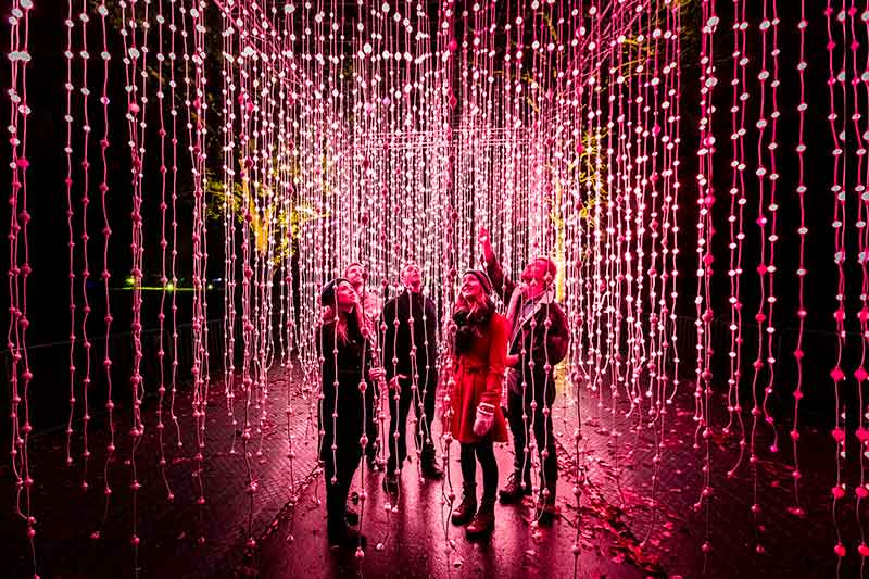 LIGHTSCAPE will return to the Royal Botanic Gardens in 2024