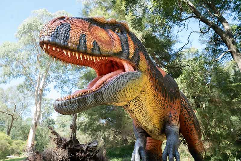 Dinosaurs have arrived at Zoos Victoria - Dinos at the Zoo