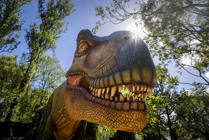 Dinosaurs have arrived at Zoos Victoria - Dinos at the Zoo