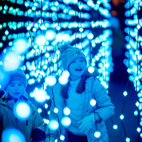 Where to find Winter Lights in Melbourne and Regional Victoria