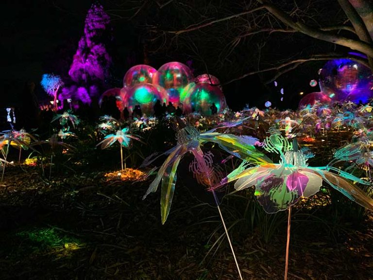 Glow Winter Arts Festival 2024