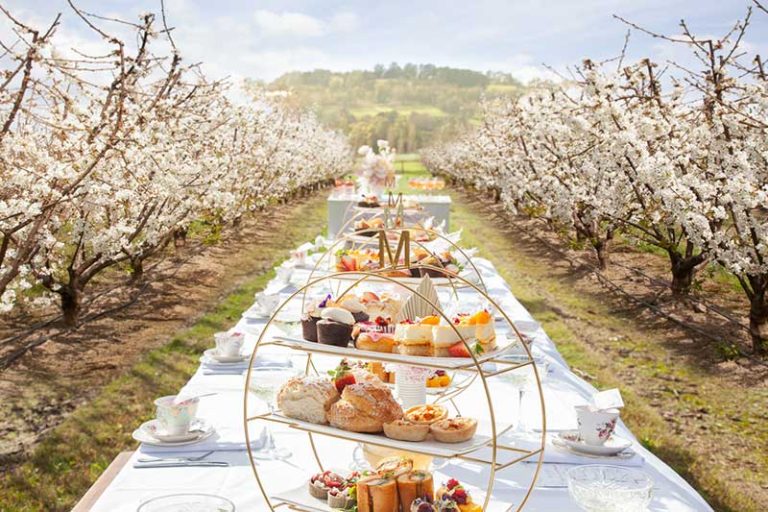 Blossom By Light at CherryHill Orchards in the Yarra Valley