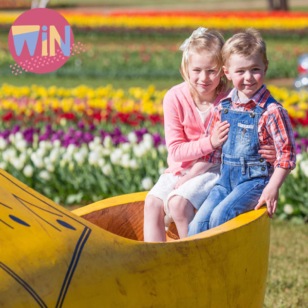 Family Favourites at the 2024 Tulip Festival