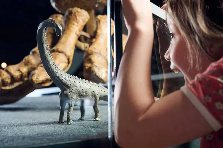 A Must-See for Dinosaur Fans at Museums Victoria