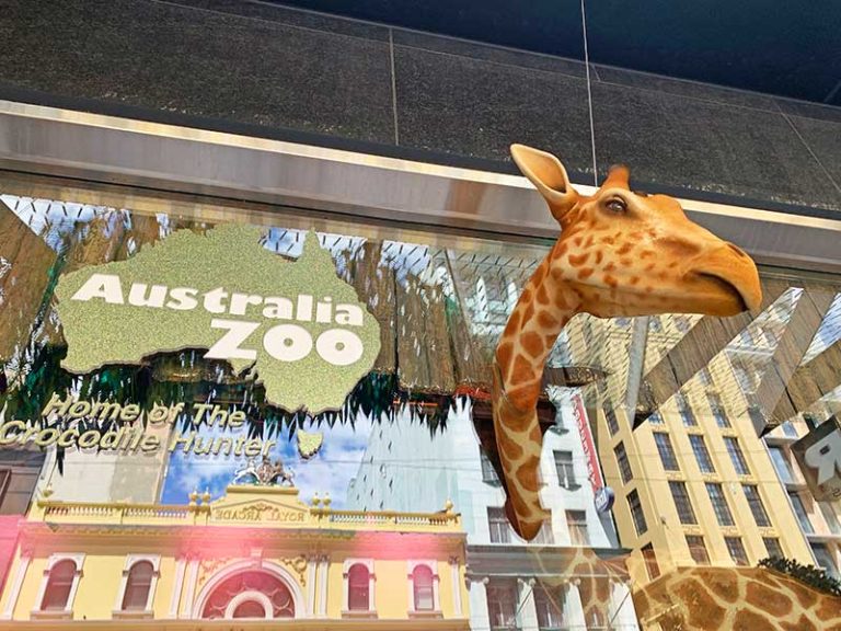 Discover the Magic of the 2024 Myer Christmas Windows in Melbourne