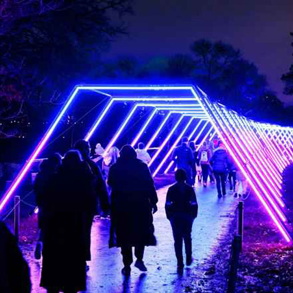 Lightscape Lights Up the Royal Botanic Gardens in 2025
