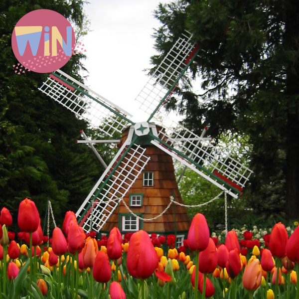 Tesselaar Tulip Festival 2025: Celebrate 70 Years of Spring Blooms
