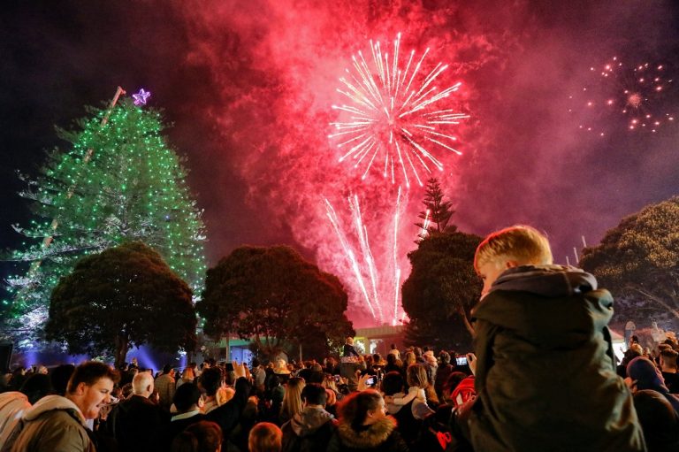 Where to Find the Most Impressive Christmas Trees in Melbourne 2025