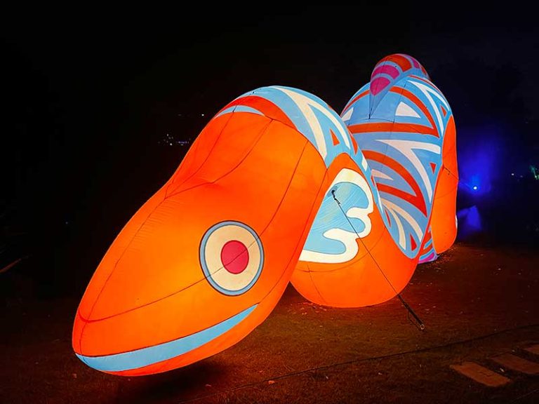 Lightscape Melbourne: A Magical Winter Light Experience at the Royal Botanic Gardens