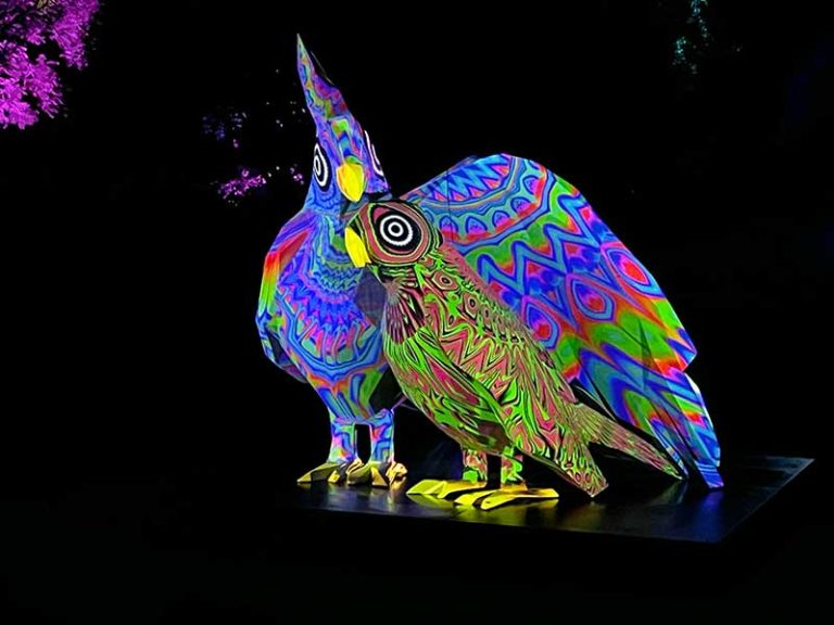 Lightscape Melbourne: A Magical Winter Light Experience at the Royal Botanic Gardens
