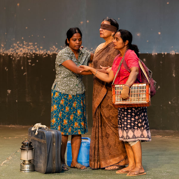 The Jungle and the Sea Review, Melbourne Theatre Company