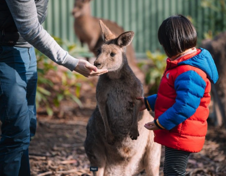 Father’s Day Events in Melbourne 2025: Fun Ideas for Dads